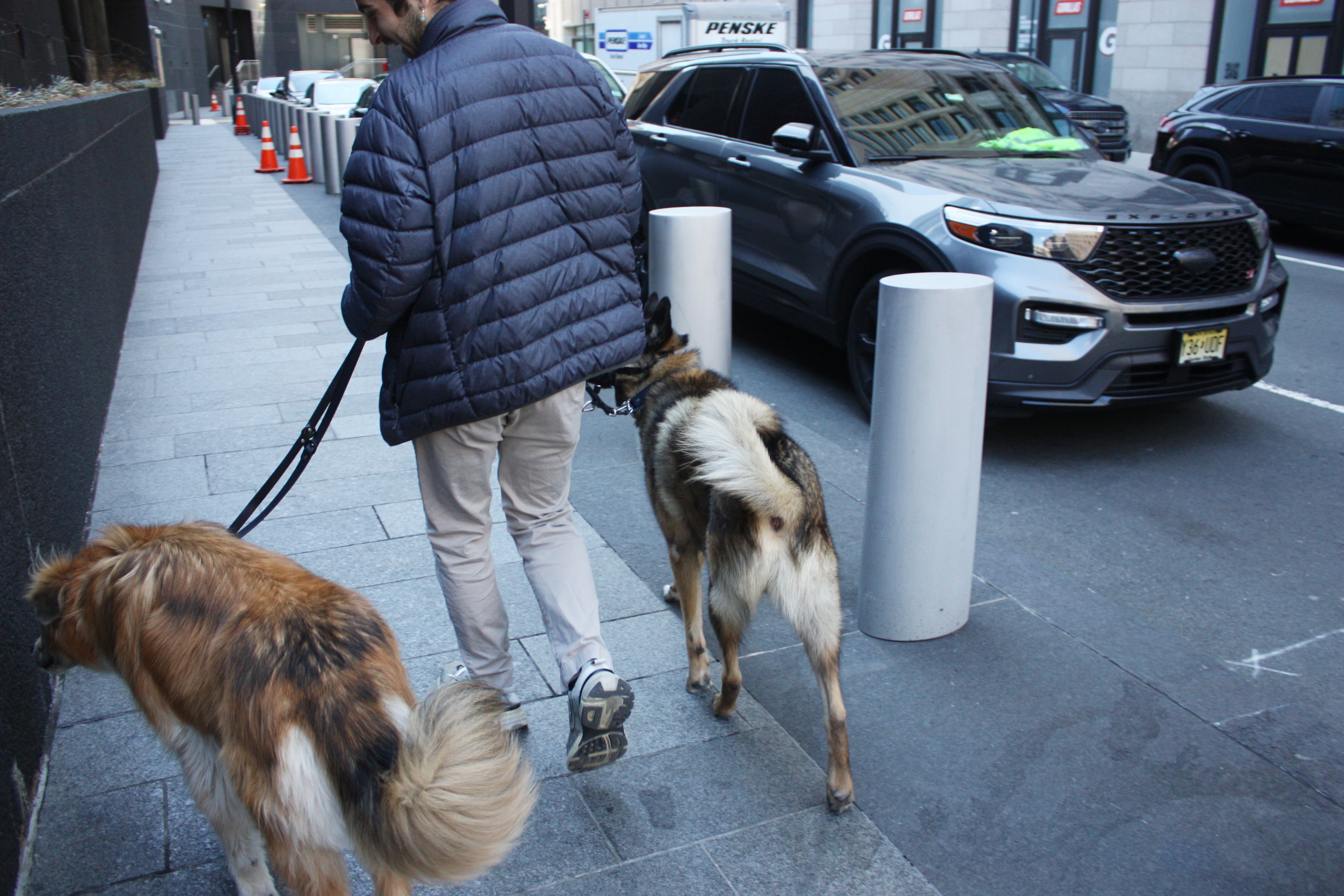 Seaport Pups 6